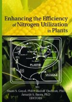 Enhancing the Efficiency of Nitrogen Utilization in Plants