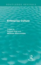 Enterprise Culture