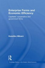 Enterprise Forms and Economic Efficiency