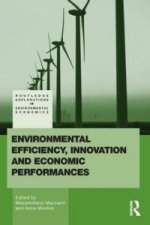 Environmental Efficiency, Innovation and Economic Performances
