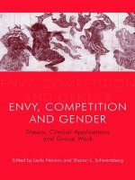 Envy, Competition and Gender