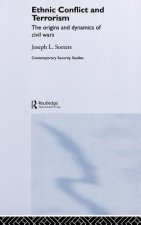 Ethnic Conflict and Terrorism