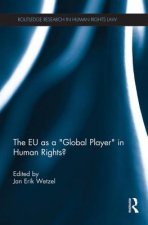 EU as a 'Global Player' in Human Rights?