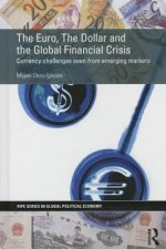 Euro, The Dollar and the Global Financial Crisis