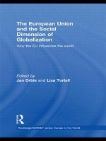European Union and the Social Dimension of Globalization