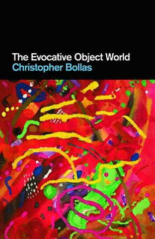 Evocative Object World