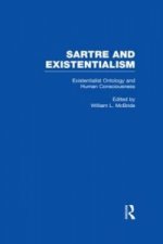 Existentialist Ontology and Human Consciousness
