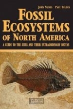 Fossil Ecosystems of North America