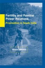 Fertility and Familial Power Relations