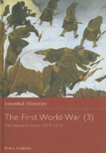 First World War, Vol. 3