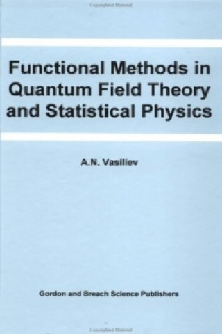 Functional Methods in Quantum Field Theory and Statistical Physics