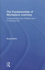 Fundamentals of Workplace Learning