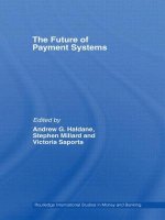 Future of Payment Systems