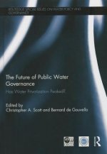 Future of Public Water Governance