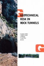 Geotechnical Risk in Rock Tunnels