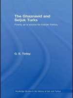 Ghaznavid and Seljuk Turks