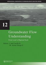 Groundwater Flow Understanding