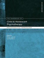 Handbook of Child and Adolescent Psychotherapy