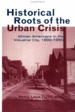 Historical Roots of the Urban Crisis
