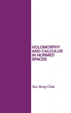 Holomorphy and Calculus in Normed Spaces