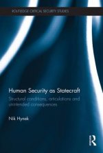 Human Security as Statecraft