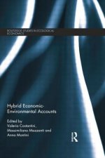 Hybrid Economic-Environmental Accounts