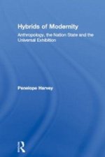 Hybrids of Modernity