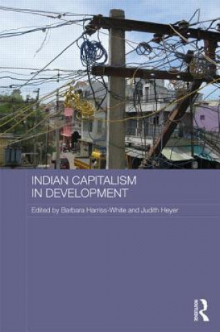 Indian Capitalism in Development