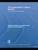Indonesian Labour Market