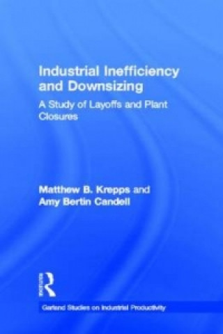 Industrial Inefficiency and Downsizing