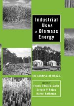 Industrial Uses of Biomass Energy