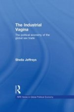 Industrial Vagina