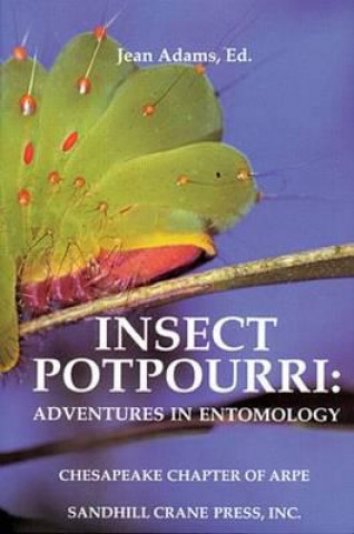 Insect Potpourri