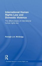 International Human Rights Law and Domestic Violence