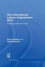International Labour Organization (ILO)
