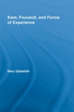 Kant, Foucault, and Forms of Experience