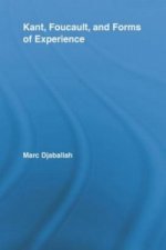 Kant, Foucault, and Forms of Experience