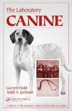 Laboratory Canine