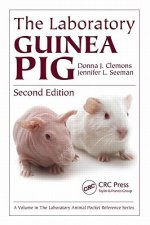 Laboratory GUINEA PIG