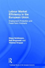 Labour Market Efficiency in the European Union