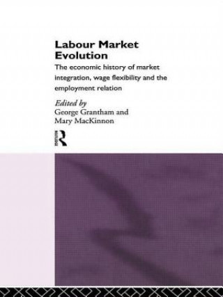 Labour Market Evolution