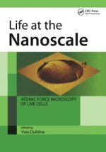 Life at the Nanoscale