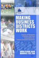 Making Business Districts Work