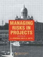 Managing Risks in Projects