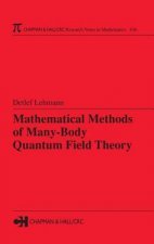 Mathematical Methods of Many-Body Quantum Field Theory