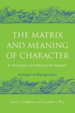 Matrix and Meaning of Character