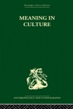 Meaning in Culture
