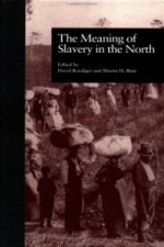 Meaning of Slavery in the North