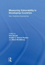 Measuring Vulnerability in Developing Countries