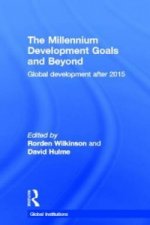 Millennium Development Goals and Beyond